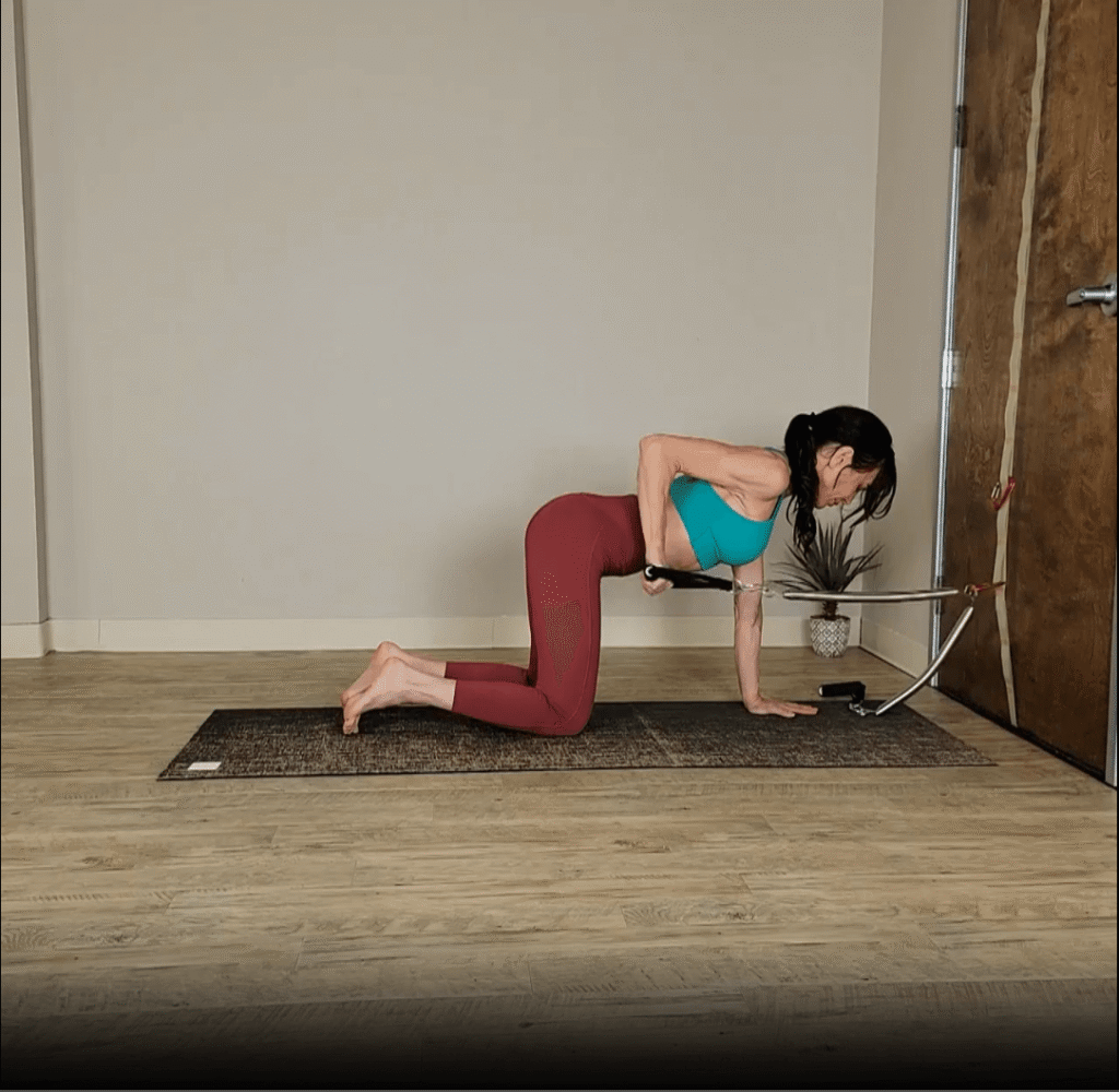 Flying Dog, Awkward Airplane, Arms, + Core