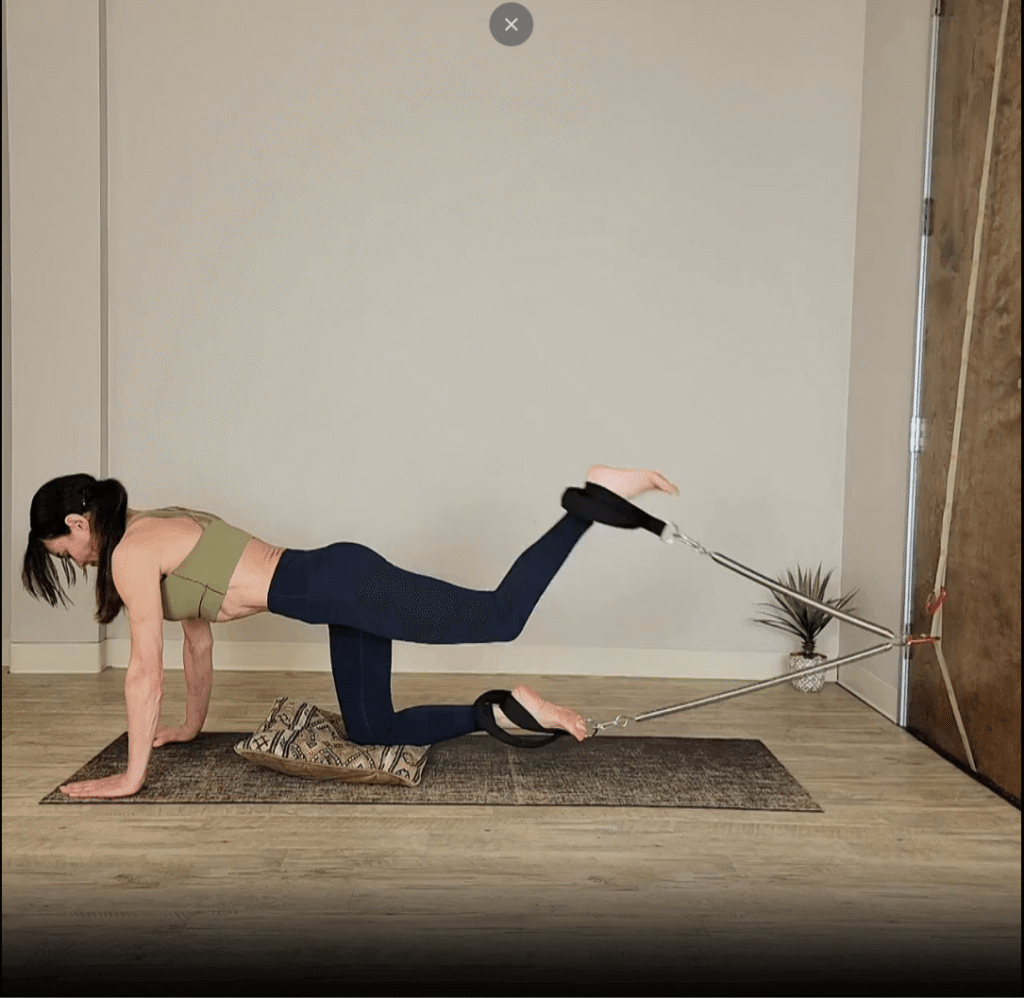 Hamstrings + Abs + Small White Dog